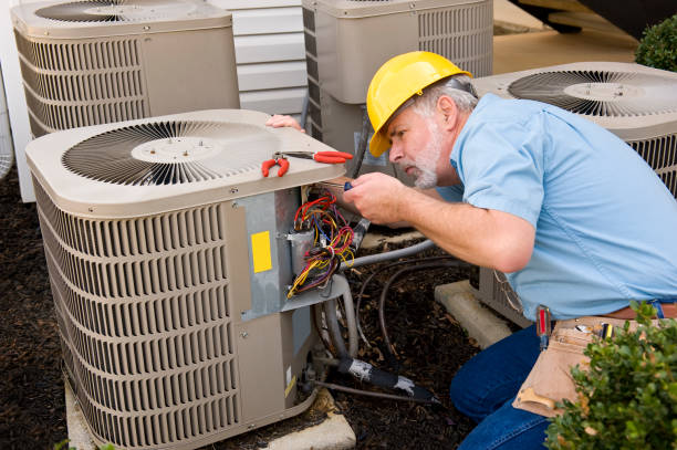 Best HVAC Air Duct Cleaning  in Northdale, FL